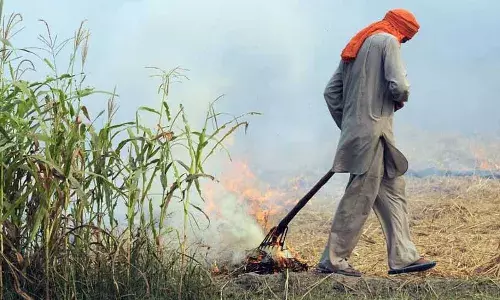 வருடாந்திர பயிர் எரிப்பால் ஆகும் சுகாதாரச்செலவு = இந்தியாவின் 3 சுகாதார பட்ஜெட் வருடாந்திர பயிர் எரிப்பால் ஆகும் சுகாதாரச்செலவு = இந்தியாவின் 3 சுகாதார பட்ஜெட்